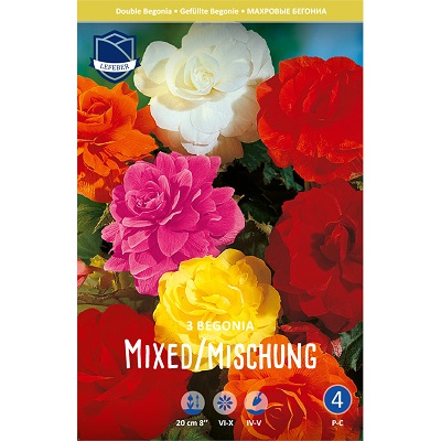 Бегония Смесь махровых 6/+ (уп.3) ЛЕФЕБЕР 99050